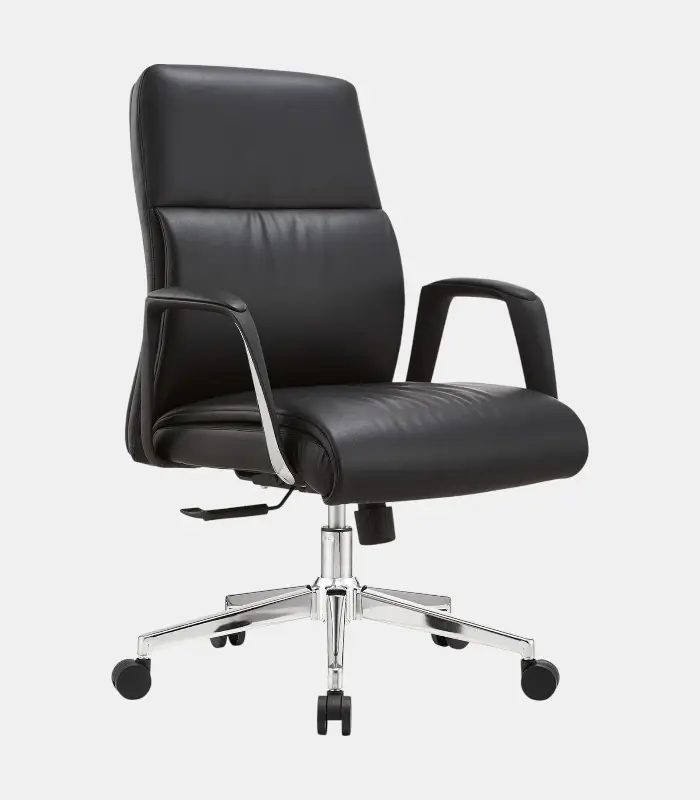 Verto Medium Back